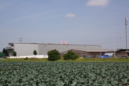 Halle 5 Beschriftung 2013