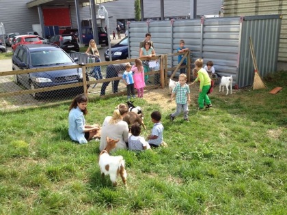 Streichelzoo 2013